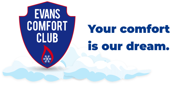 Your Comfort Is Our Dream Your Comfort Is Our Dream